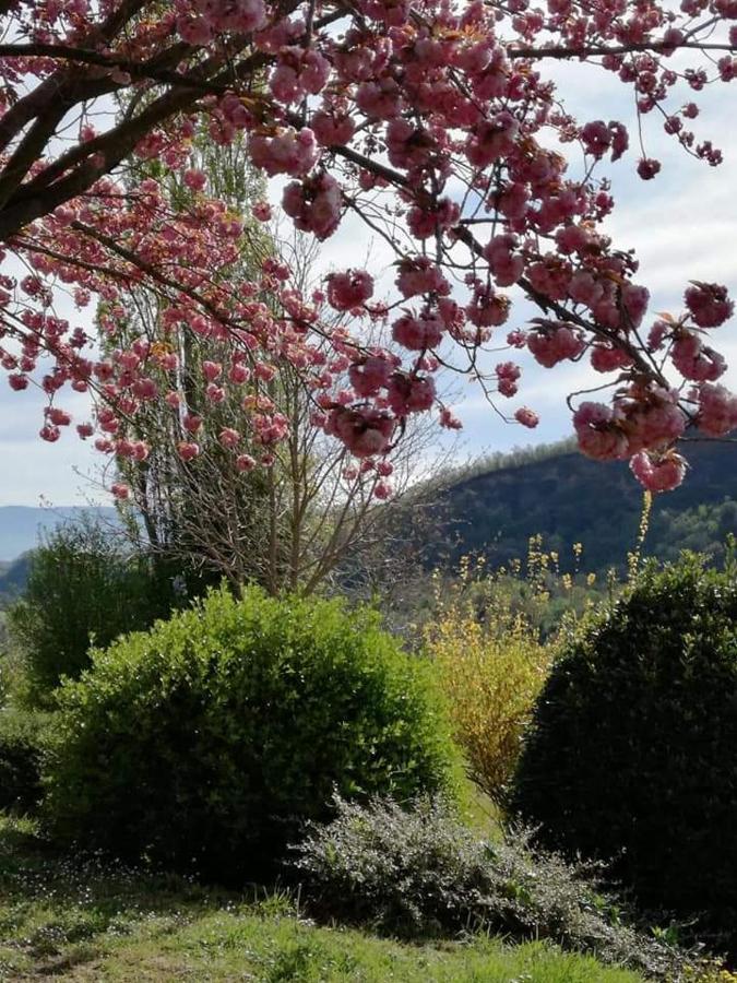 Il Casale Di Aquarubra Bed and Breakfast Celleno Buitenkant foto